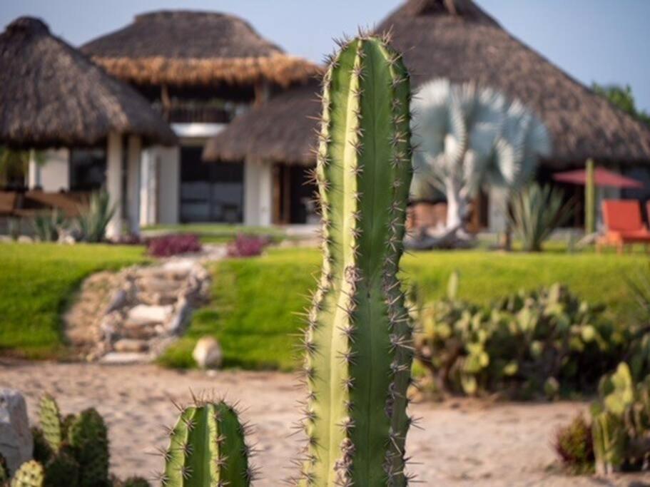 Villa De Las Rocas Пуэрто-Эскондидо Экстерьер фото